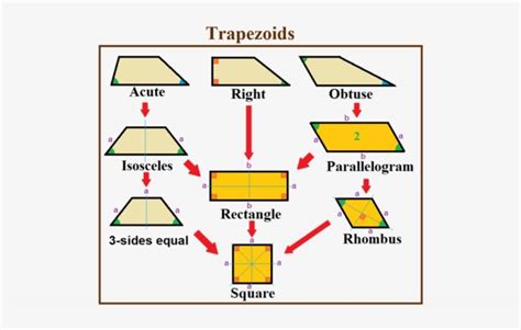 All About Trapezoids Meaning Type Formulas