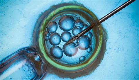 a beginner s guide to ivf reproductive endocrinology and infertility located in bedford and