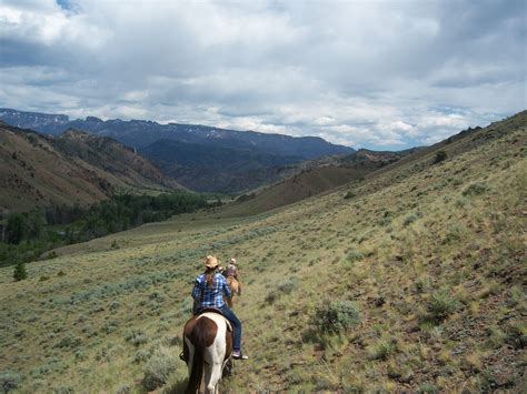 Elk Fork Trail Cody Wy Horse Adventure Places To Visit Trail Riding