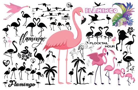 Flamingo Bundle Svg Flamingo Svg Pink Flamingo Svg Flamingo Etsy