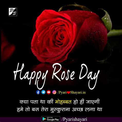 Happy Rose Day Shayari हैप्पी रोज डे शायरी