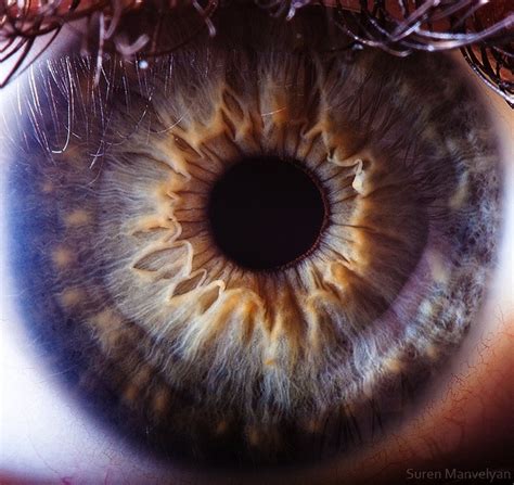 The Science Behind These Amazing Photographs Of The Human Eye Smart