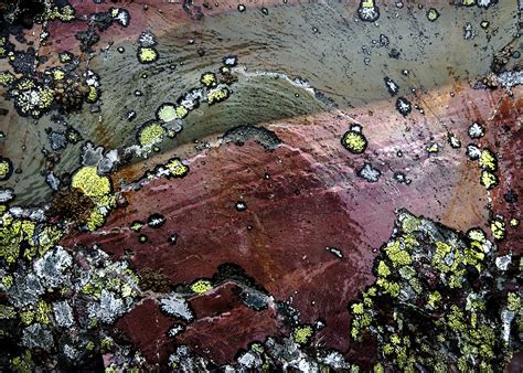 A red or pink liquid. Quick Answer: What Car Fluid Is Reddish Brown ...