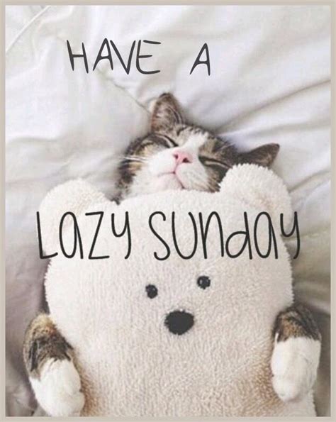Have A Lazy Sunday Sunday Quotes Happy Sunday Quotes Sunday Morning