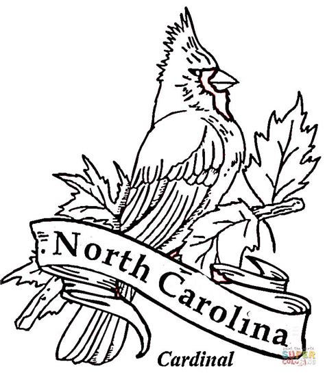 South Carolina State Bird Coloring Page Coloring Pages