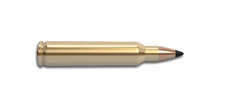 204 Ruger Nosler Bullets Brass Ammunition And Rifles