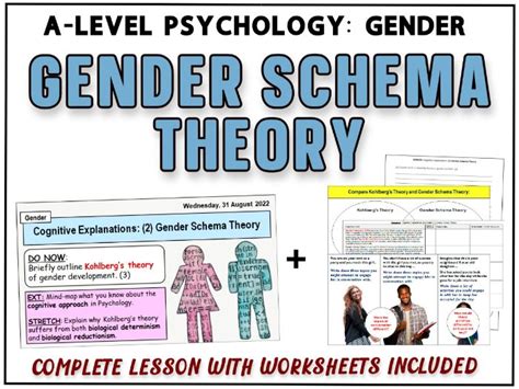 A Level Psychology Gender Schema Theory Cognitive Explanations Year 2 Gender Teaching