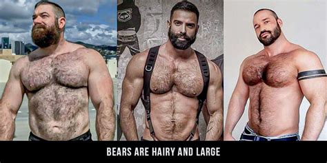 Gay Otters Celebrating The Beauty Of Hairy Lean Men In The Gay Community