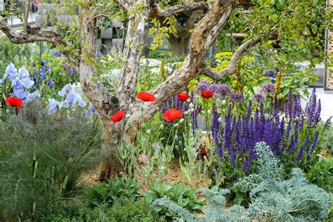 Highlights Of The Virtual Rhs Chelsea Flower Show 2020 Bbc Gardeners