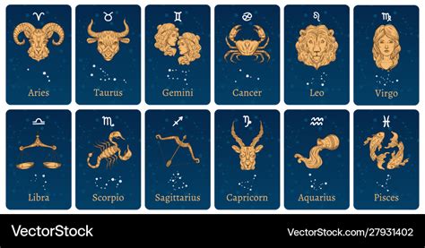 Zodiac Constellations And Signs Horoscope Cards Vector Image