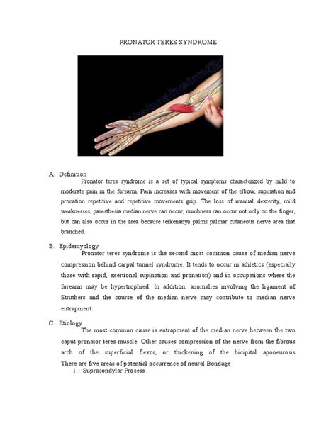 Pronator Teres Syndrome Fix Elbow Anatomical Terms Of Motion