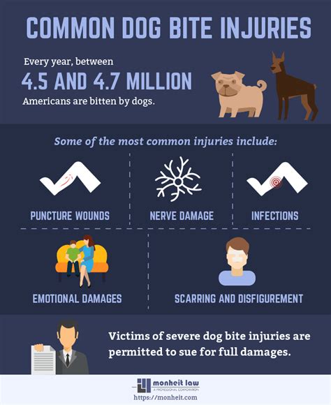 Can A Dog Bite Cause Nerve Damage