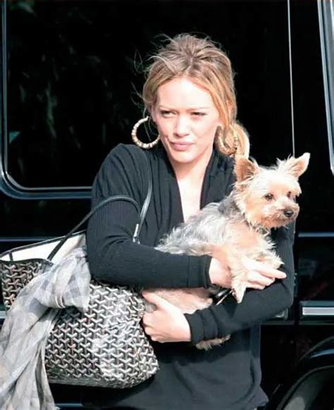 Celebrities With Yorkshire Terriers