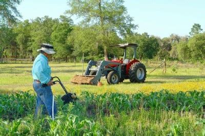 O dia do agricultor é comemorado anualmente em 28 de julho. Criterios de la figura del agricultor activo