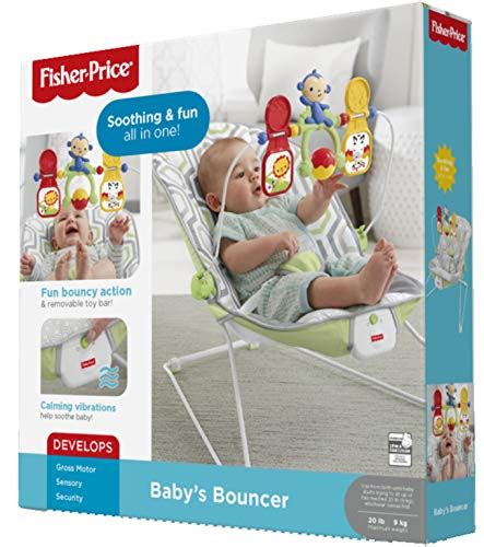 Fisher Price Baby's Bouncer Geo Meadow   Spinrels