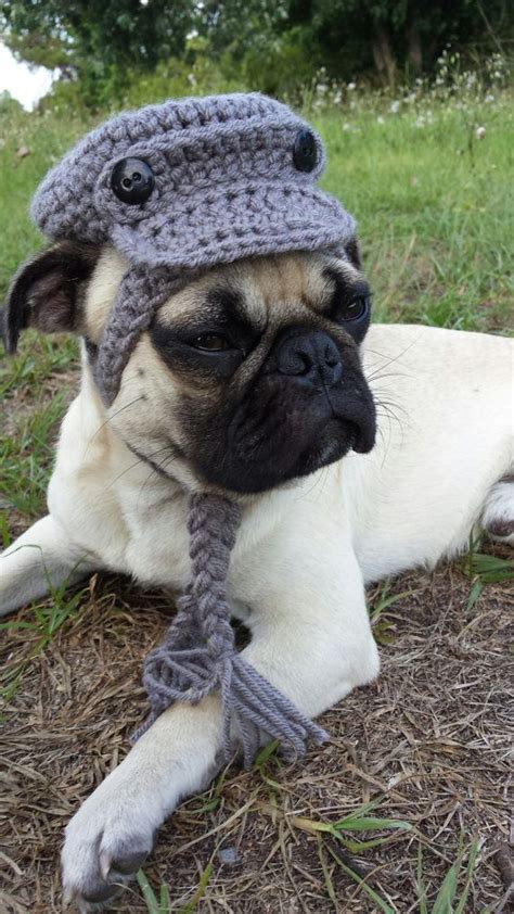 Custom Newsboy Hat For Dogs By Iheartneedlework On Etsy Pug Pugs In