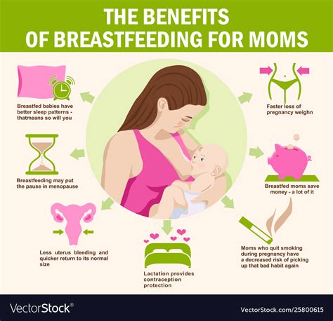 The Benefits Breastfeeding For Moms Maternity Vector Image