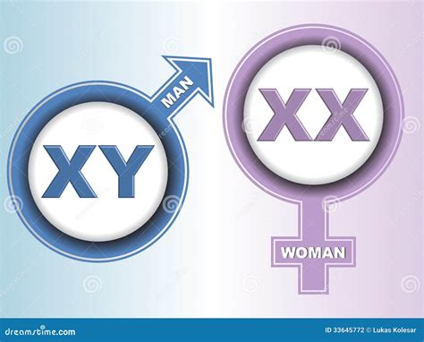 Sex Chromosome Signs Stock Illustration Illustration Of Accessible