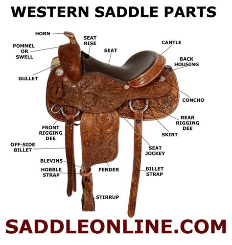 The Parts Of A Western Saddle Horse Saddles Horse