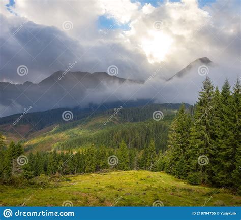 Green Misty Mountain Valley In Dense Clouds Stock Image Image Of