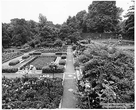 Rose Garden In Mellon Park Historic Pittsburgh