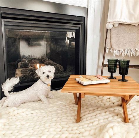 When You Set Up A Cozy Romantic Night In But The Pups