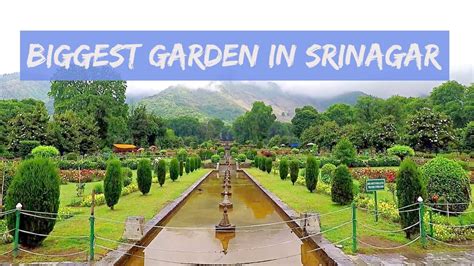 Biggest Mughal Garden Nishat Bagh In Srinagar Kashmir India Kashmir
