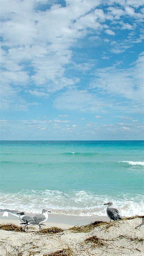 Florida Beach Iphone Wallpapers Top Free Florida Beach Iphone