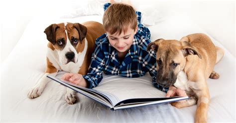 Kids Read To Shelter Dogs To Help Them Get Adopted Goodnet