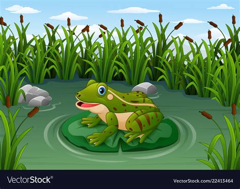 Cartoon Frog On A Leaf In The Pond Royalty Free Vector Image