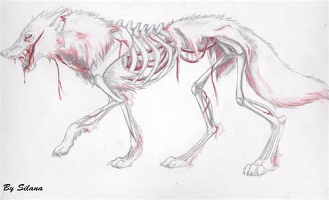 Zombie Wolf By Silanaverley On Deviantart