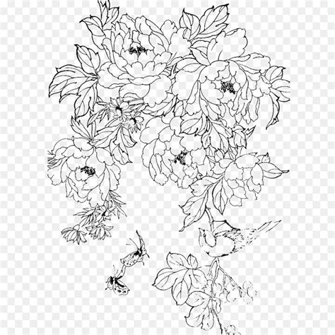 Chinese Flowers Drawings Sketches Sketch Drawing Idea