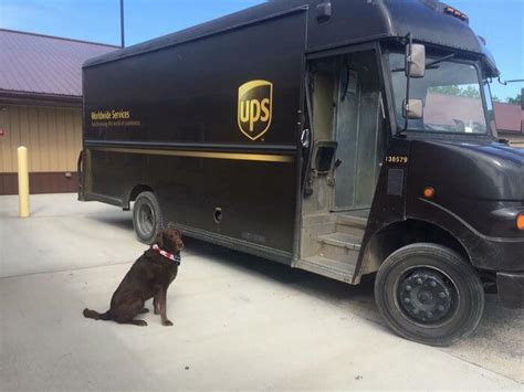 Find out the tracking number of your. This Ups drivers Facebook Group About Dogs They Meet On ...
