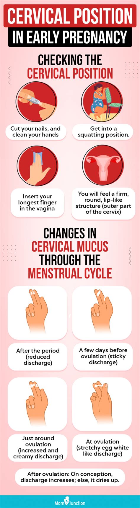 How To Check Cervical Position Religionisland Doralutz