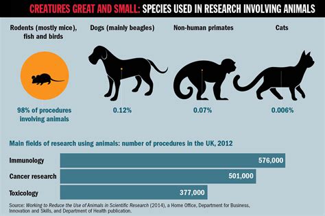 Statistics On Why Animal Testing Is Good Sho News