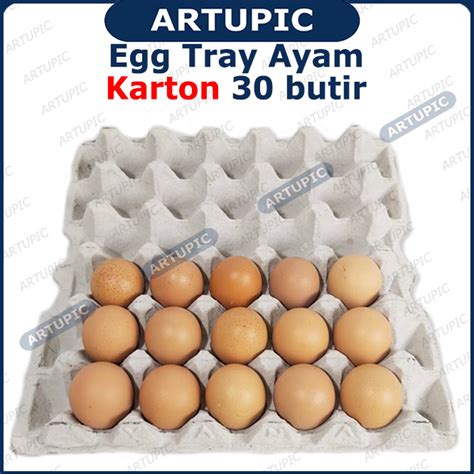 Tuang kaldu bubuk ayam dan beri merica secukupnya. Egg Tray Telur Ayam KARTON isi 30 butir Artupic