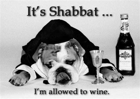 Shabbat Funny Shabbat Shalom Shabbat Shalom Images Shabbat