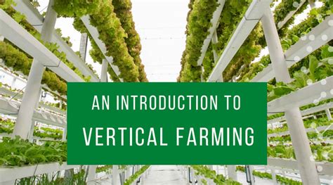 An Introduction To Vertical Farming Alea