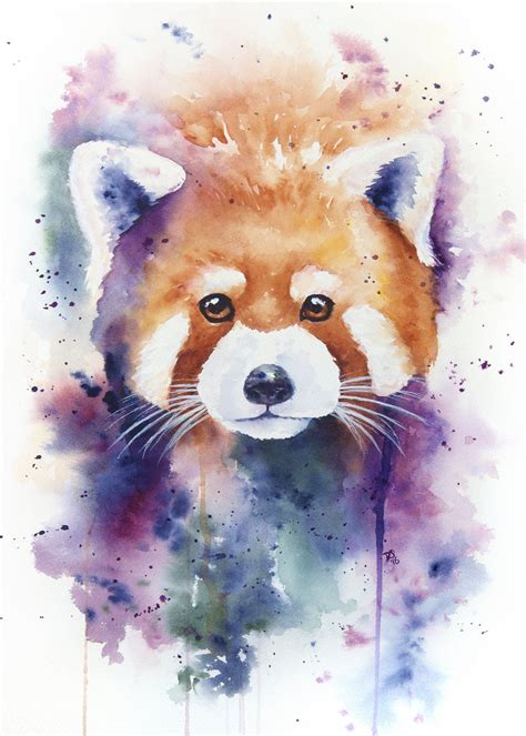 Watercolor Red Panda Standard Art Print Red Panda Painting