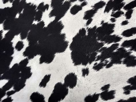 Southwestern Fabric Black Cow Print