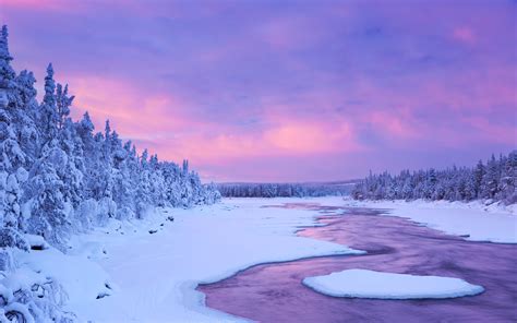 Fonds Decran 3840x2400 Laponie Région Finlande Hiver Ciel Neige Picea