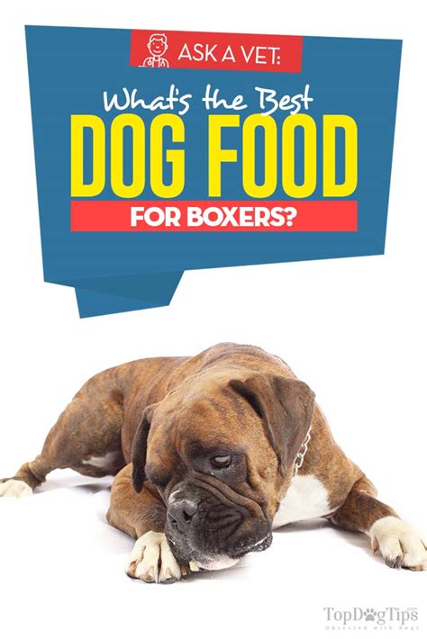 In general, these hybrids do best on properly chosen premium dry food formula. Best Dog Food for Boxers: 7 Vet Recommended Brands