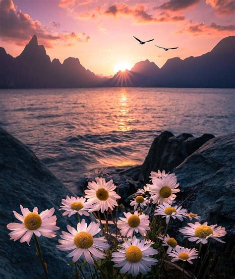 Pin by RokitaSRochelle on Sunsets | Nature photography, Nature pictures ...
