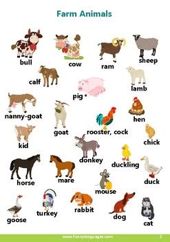 Structures:what animal is that?, what noise does it make? target vocab: English Vocabulary for Kids. Farm Animals by FUNNY ...