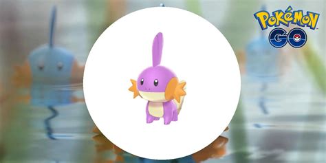 Pokémon Gos Mudkip Community Day Features A Cute Purple Shiny