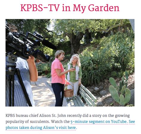 Debra Lee Baldwin Talks Succulents With Kpbs And Npr