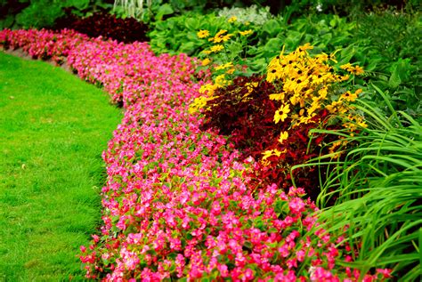 We did not find results for: The Sterling Garden Club Annual Plant Sale - Somewhere in ...