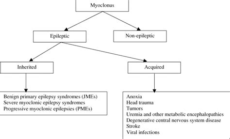 Classification Of The Myoclonic Epilepsies Leppik 2003 Epilepsia