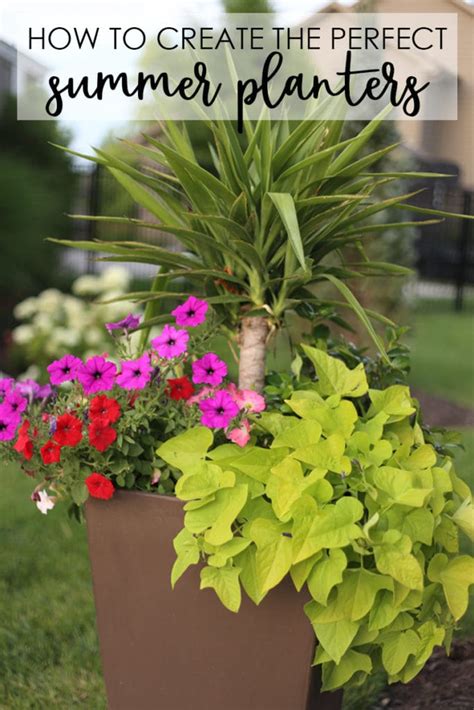 Growing flowers in pots will brighten up your backyard and it's easy to do. Tutorial: How to Plant Flowers in a Pot - Life On Virginia ...