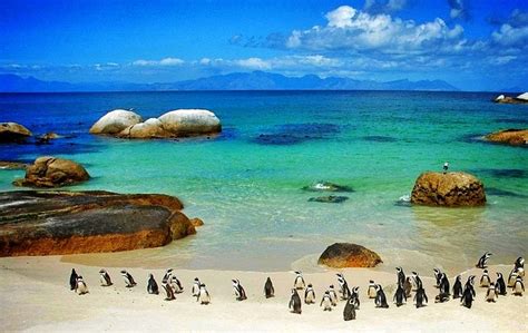 Other determining factors are how many attempts you will have and which clinic you use. 10 of the most beautiful places to visit in South Africa ...